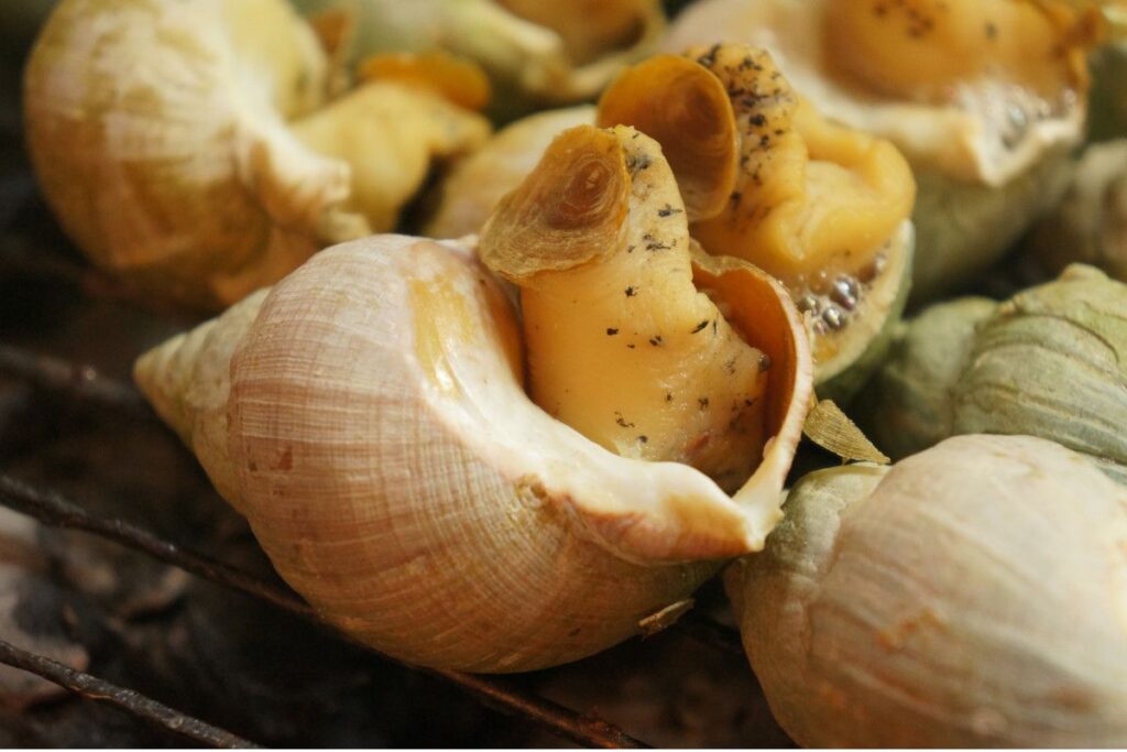 Preparar caracoles en casa es fácil de dominar, con una amplia posibilidad de recetas.