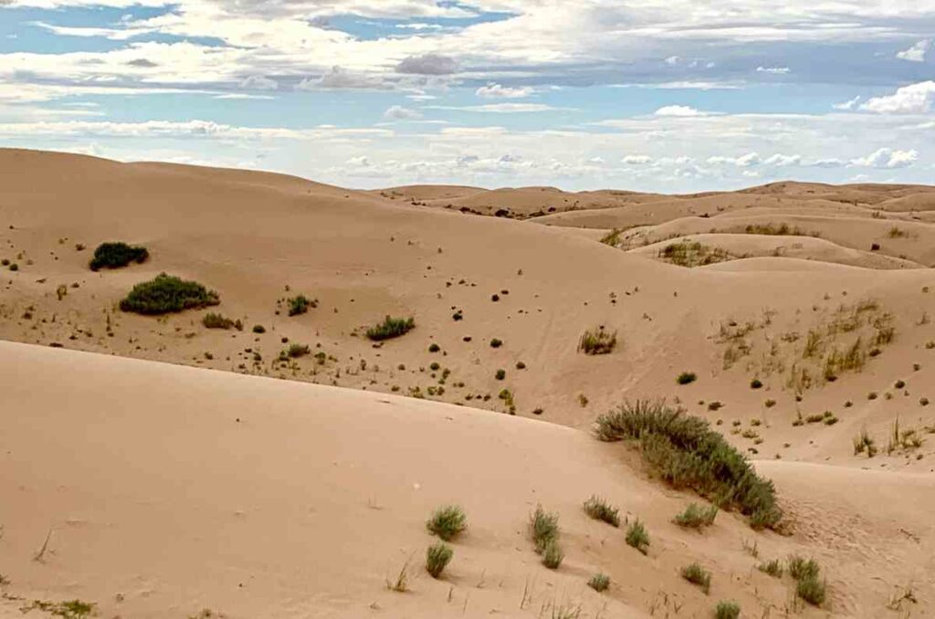 Dunas de Samalayuca, Chihuahua, un destino imperdible para aventureros 0