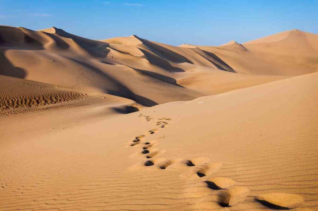 Dunas de Samalayuca, Chihuahua, un destino imperdible para aventureros 2