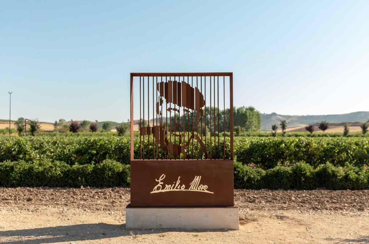 5 vinos imperdibles de Bodegas Emilio Moro para definir Ribera del Duero