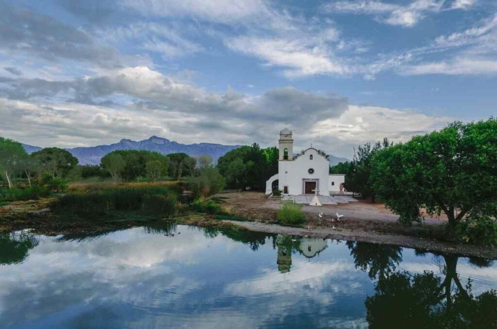 Encinillas, el viñedo que pone a Chihuahua en el mapa enológico mundial 1