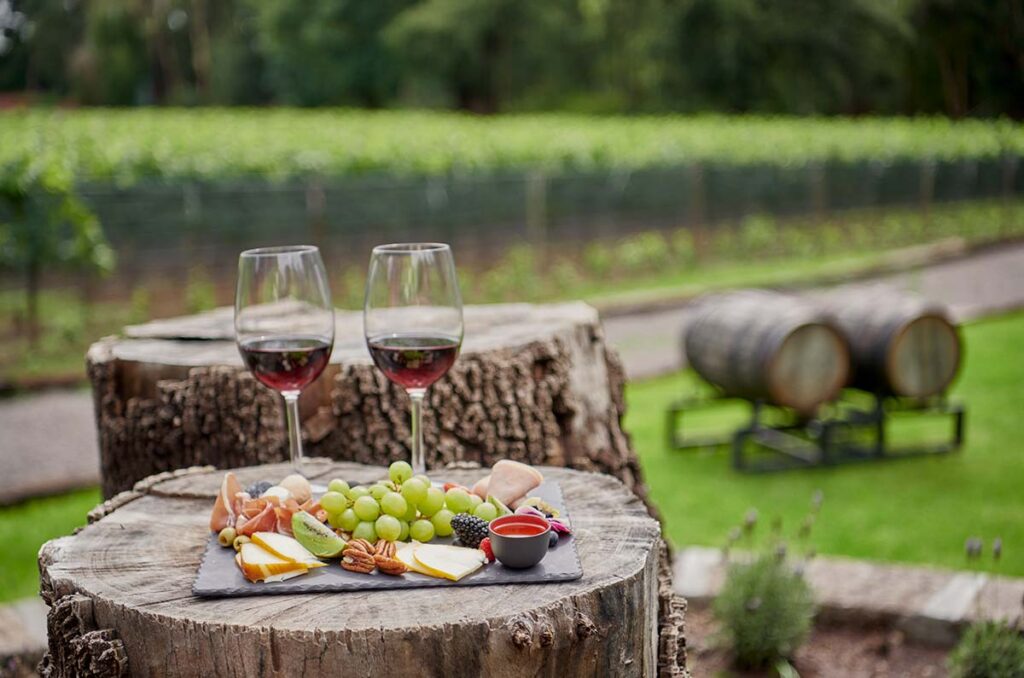 Hacienda Galindo celebra 500 años con la edición especial de vino “Château Galindo”