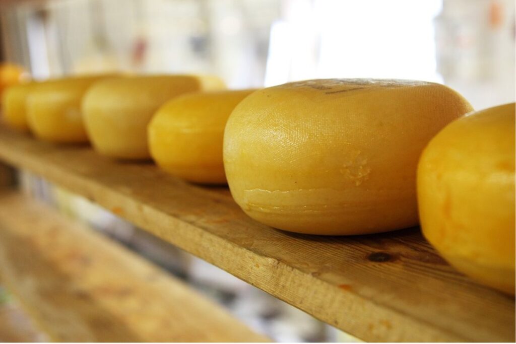 El queso figueira es un producto artesanal de Brasil.