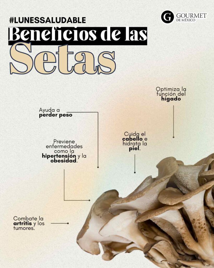 Infografía sobre los beneficios de las setas