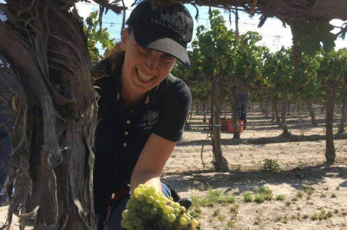 En los viñedos de la bodega Casa Madero en Parras (Coahuila), foto tomada de sus redes sociales