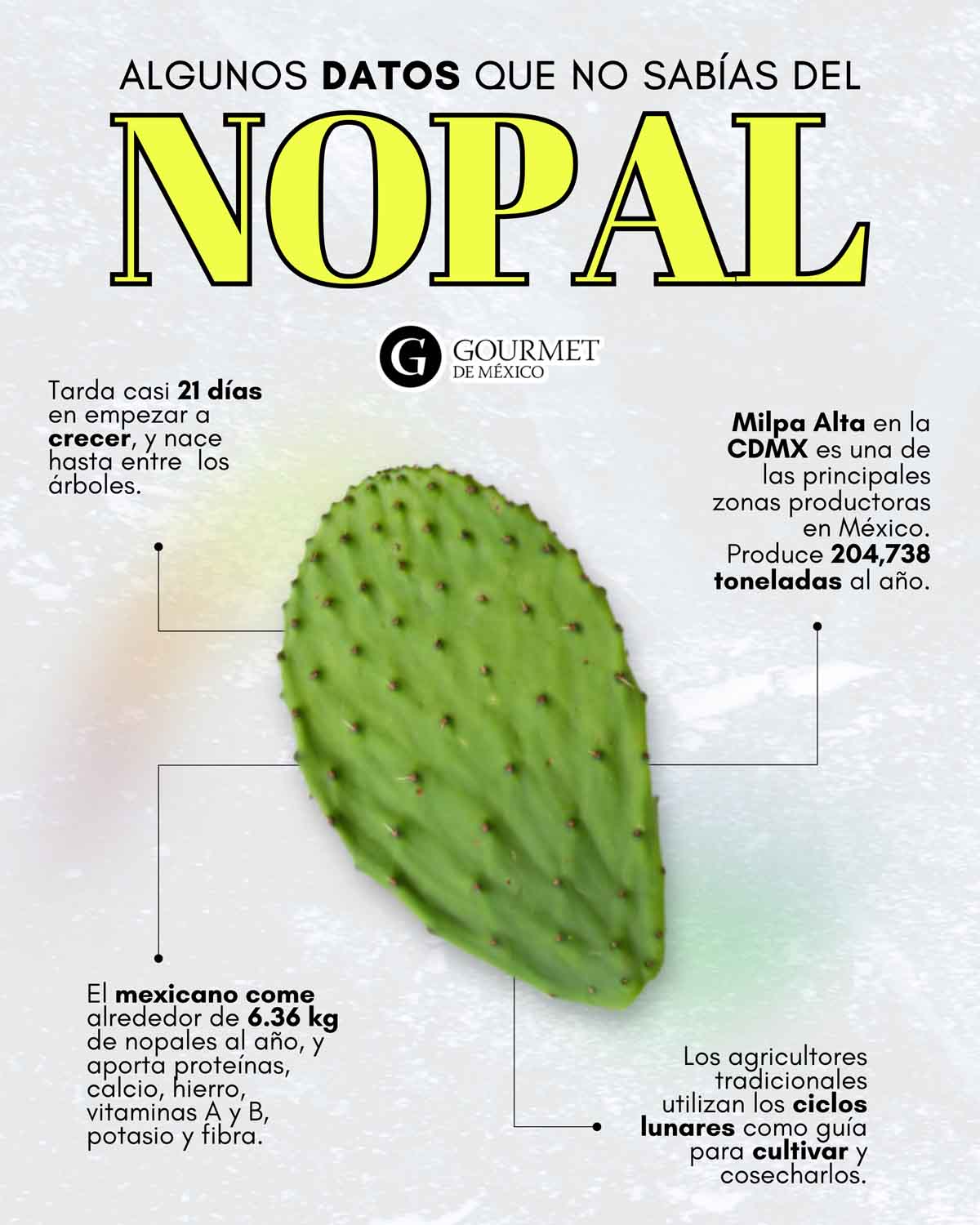 Datos del nopal