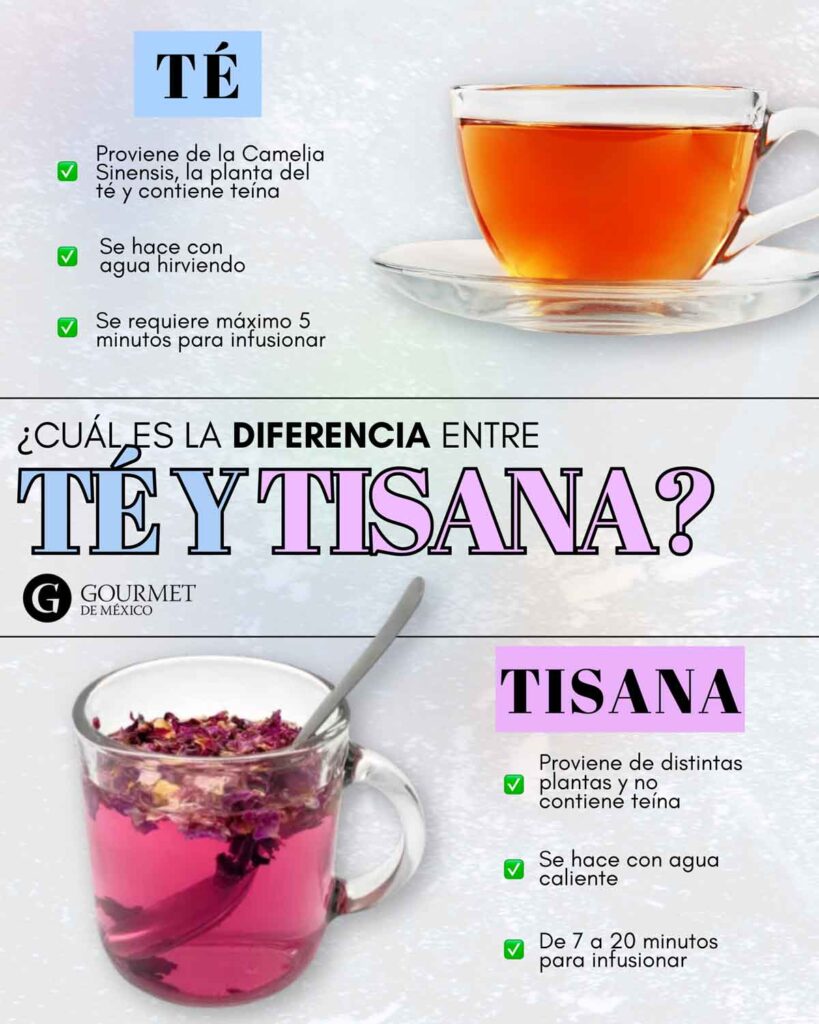 Tés y tisanas