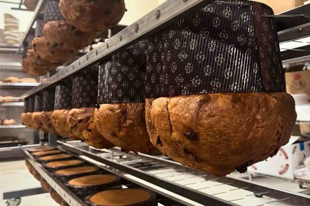 El panettone es un pan dulce navideño tradicional en Italia.