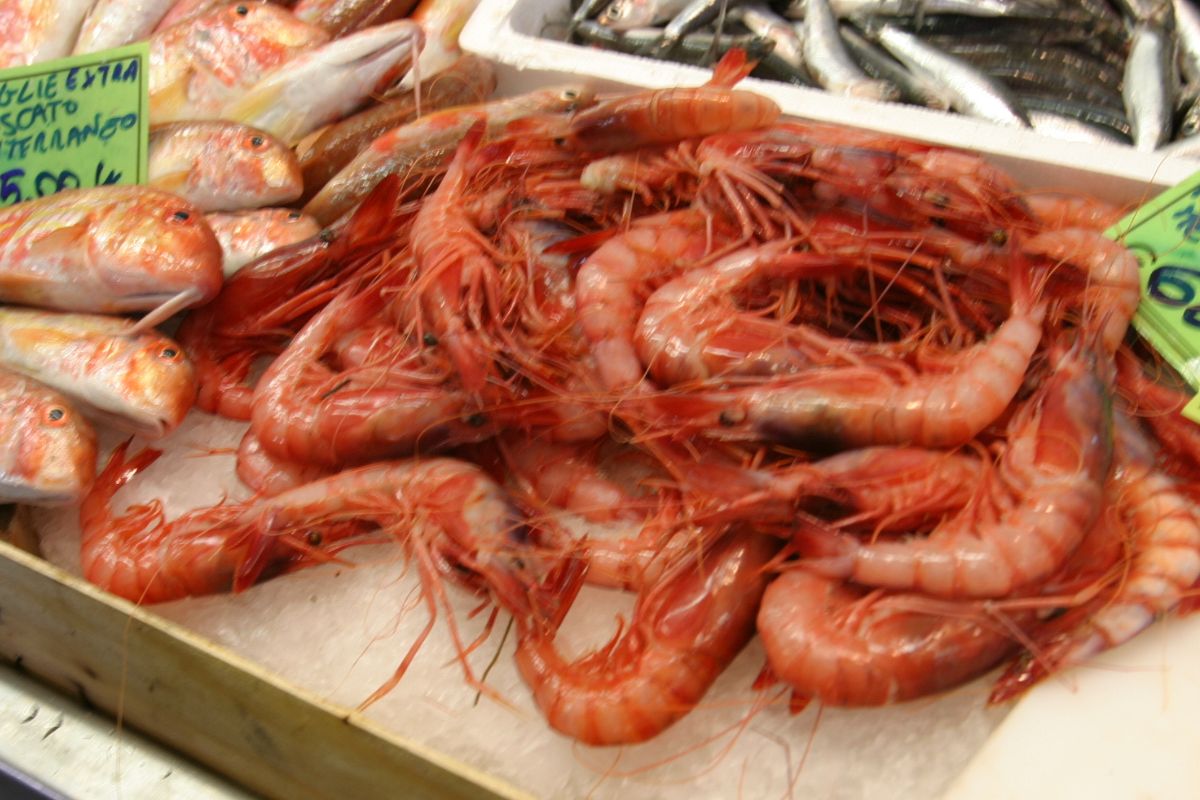 Gambas frescas a granel. Foto de Pexels.