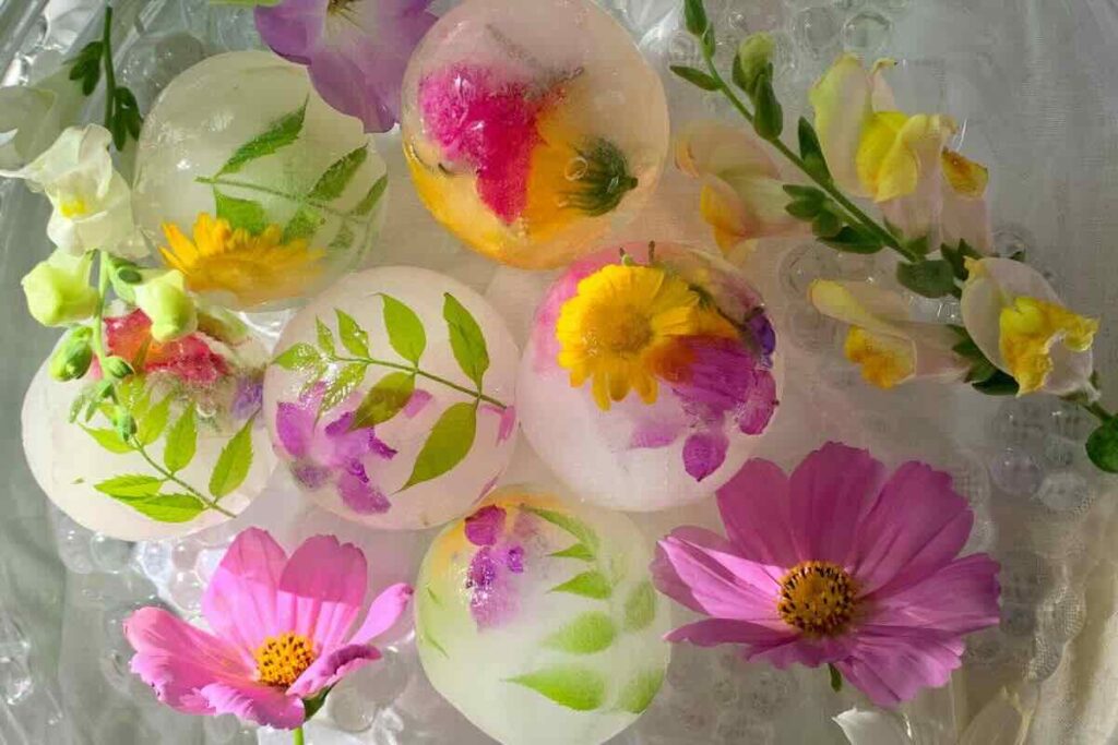 Los hielos con flores funcionan como elemento decorativo para cocteles.