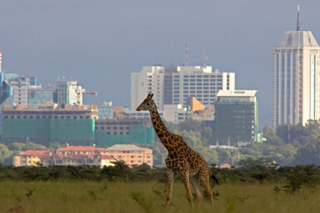 Nairobi: La puerta de entrada a belleza natural de Kenia