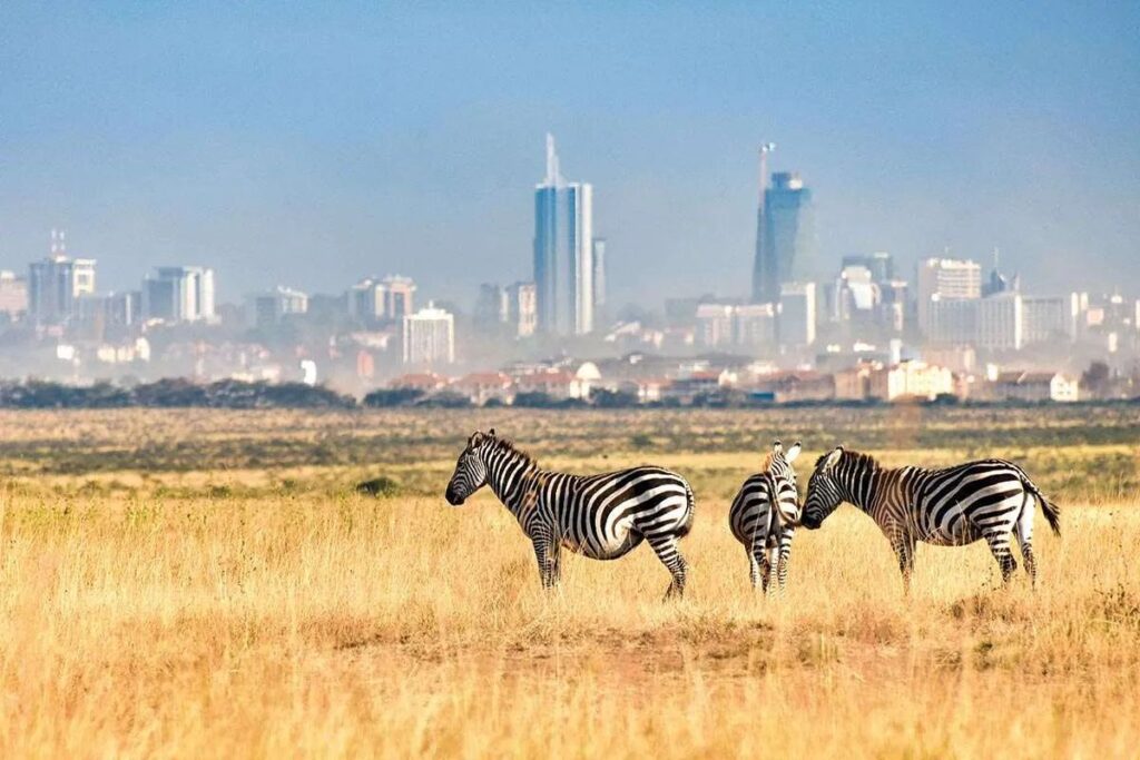 Nairobi mantiene un equilibrio entre lo natural y lo urbano.