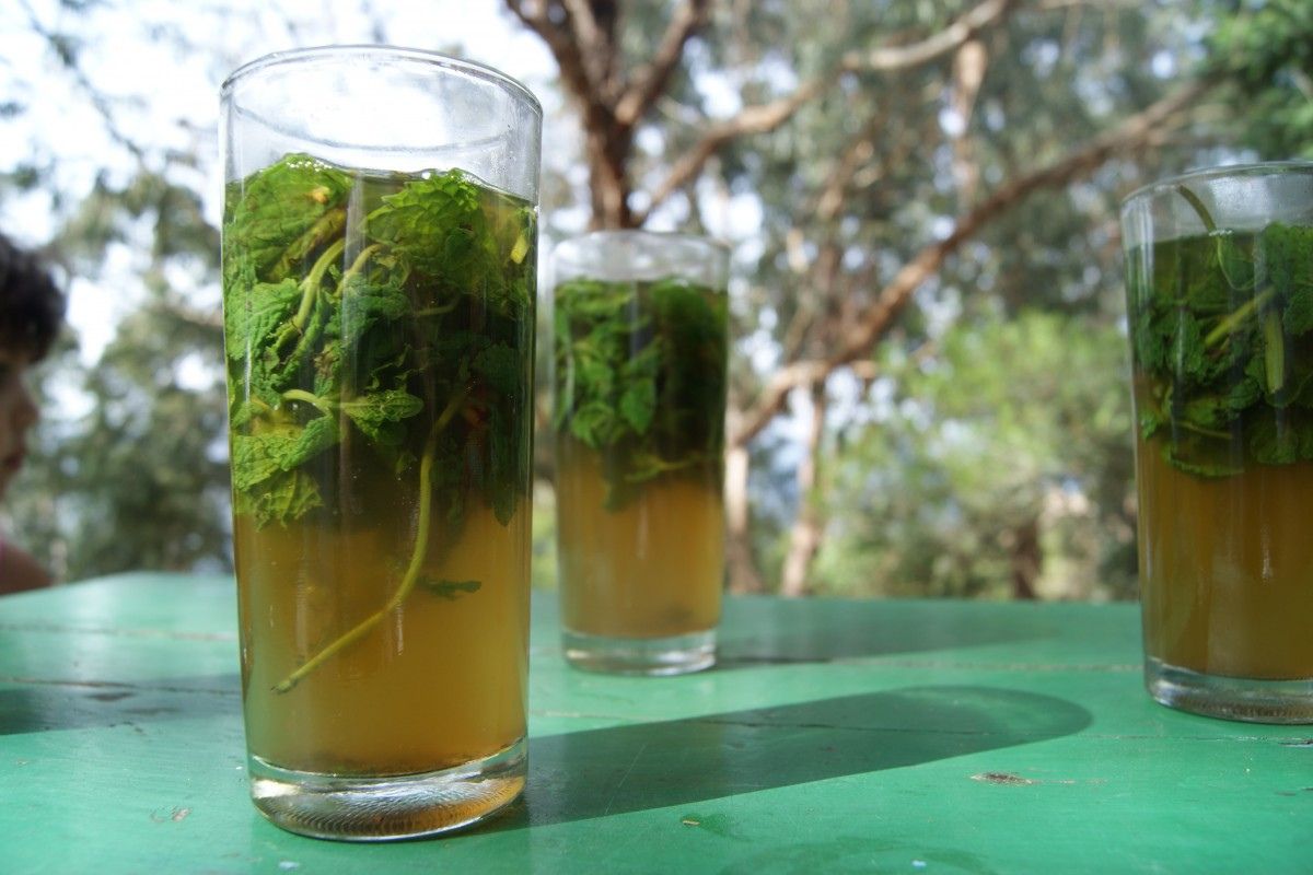 bebidas-tradicionales-de-veracruz-2