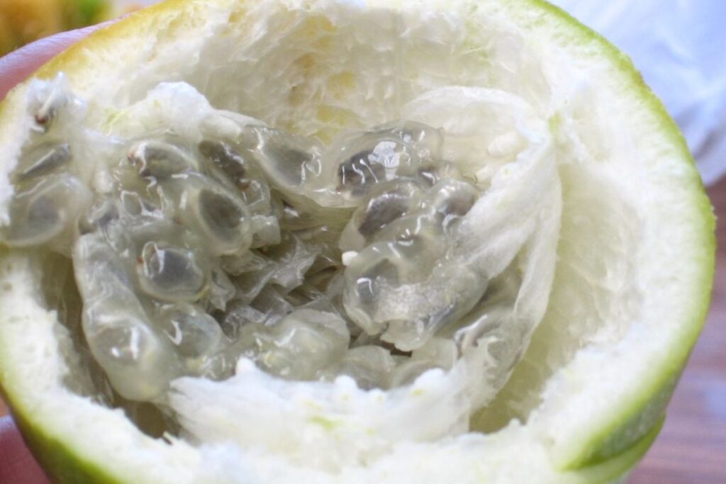 La granadilla es un fruto tropical que tiene múltiples usos y beneficios.