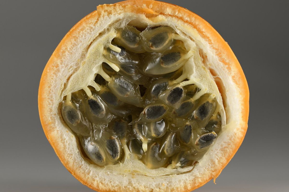 granadilla-fruta-4