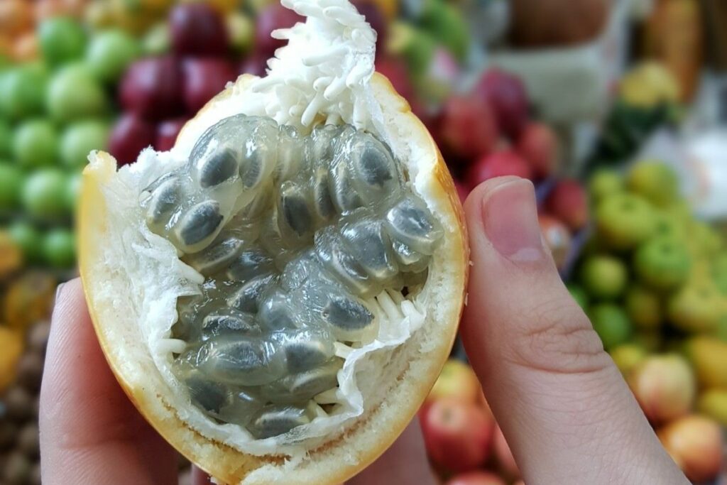 La granadilla es un fruto tropical que tiene múltiples usos y beneficios.