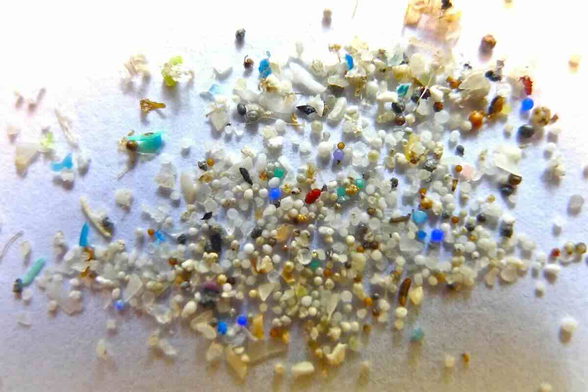 microplasticos – 1