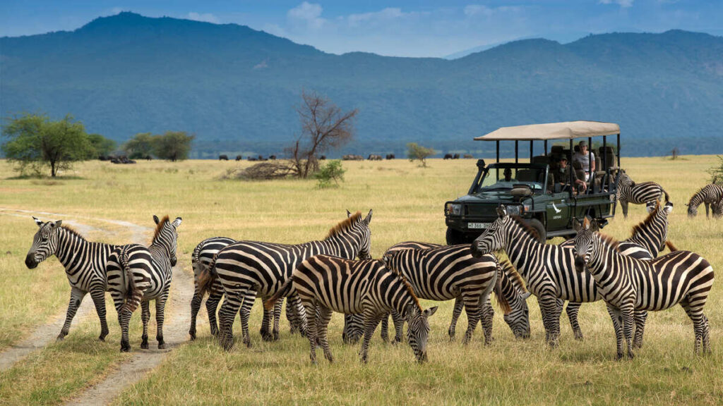 Siguiendio los pasos de la gran migración en el Serengeti