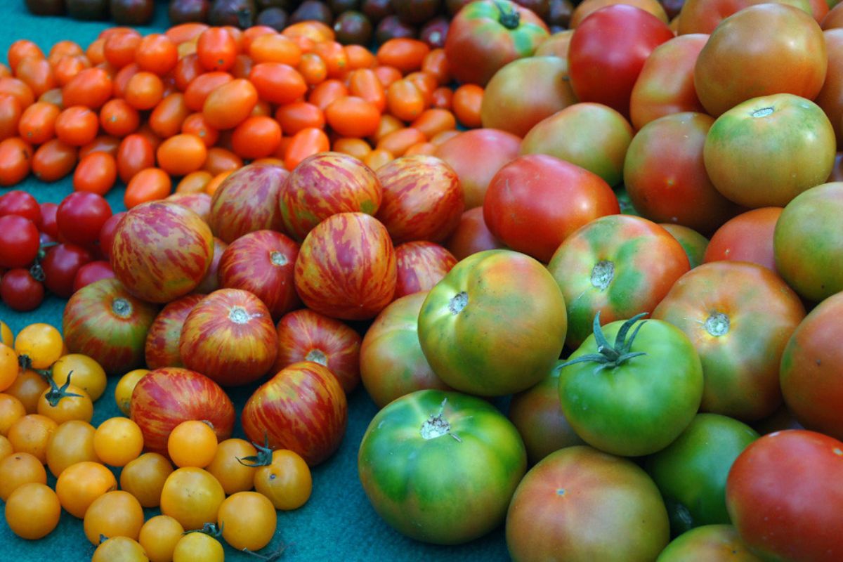 Tipos de tomates que tienes que probar alguna vez