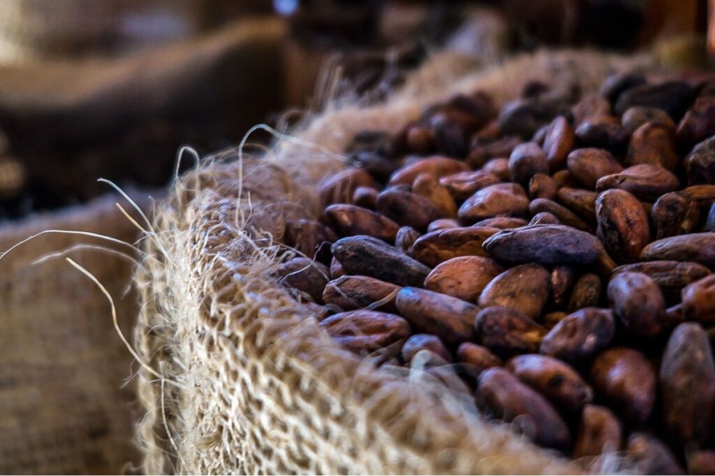 El chocolate se ha considerado como un ingrediente afrodisíaco desde la época prehispánica.