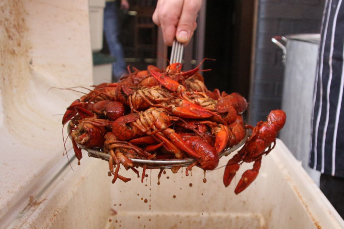 Guisado tradicional de Louisiana. Foto de Flickr.