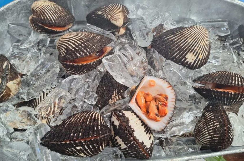 Conchas & Burbujas en EGO Restaurante en Cancún