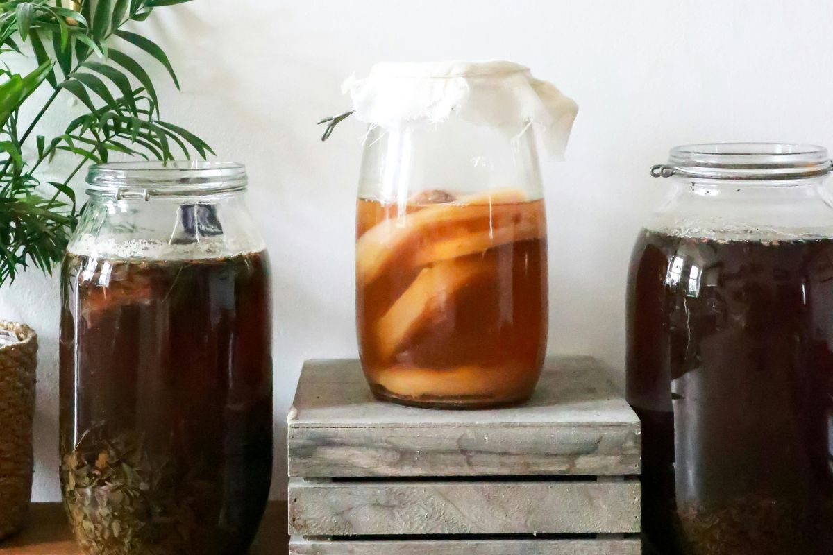 Beneficios de la kombucha que te harán decirle que si a este fermento