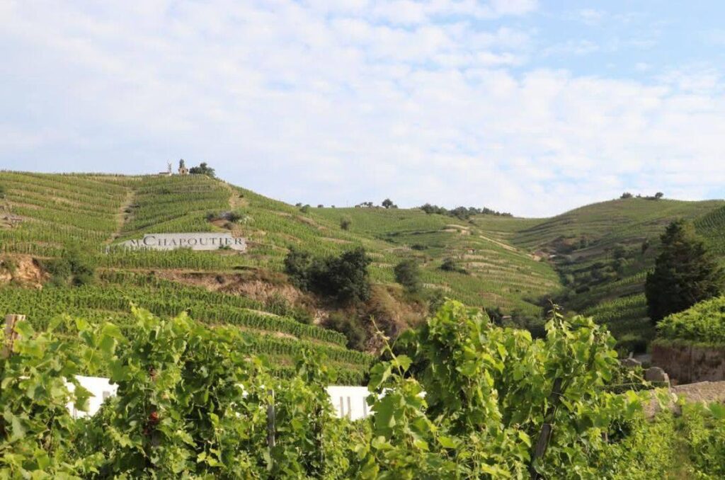 Bodega M. Chapoutier, vinos biodinámicos en el Ródano