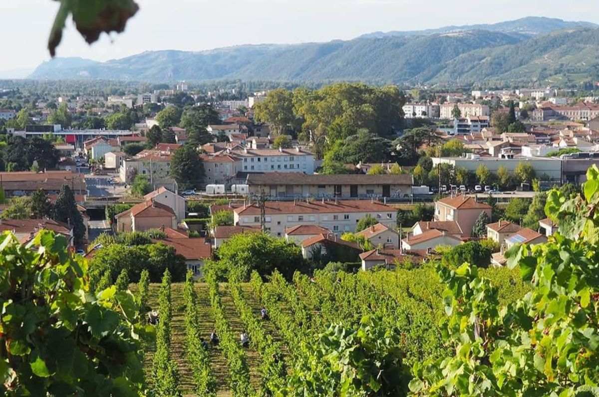 Vista de sus viñedos en el Ródano, foto tomada de sus redes sociales