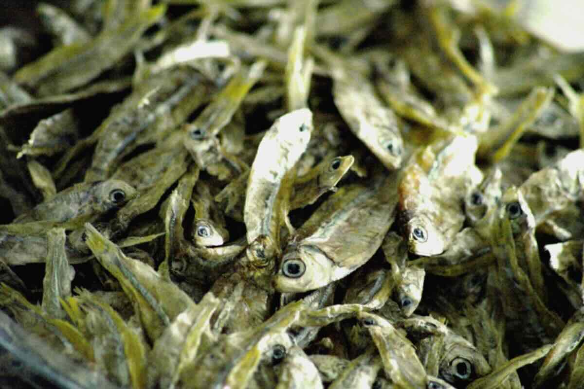 Botana de pescados fritos. Foto de Flickr.