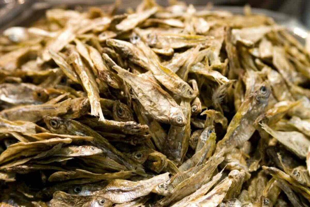 ⁠Charales: los diminutos pescados mexicanos con súper propiedades