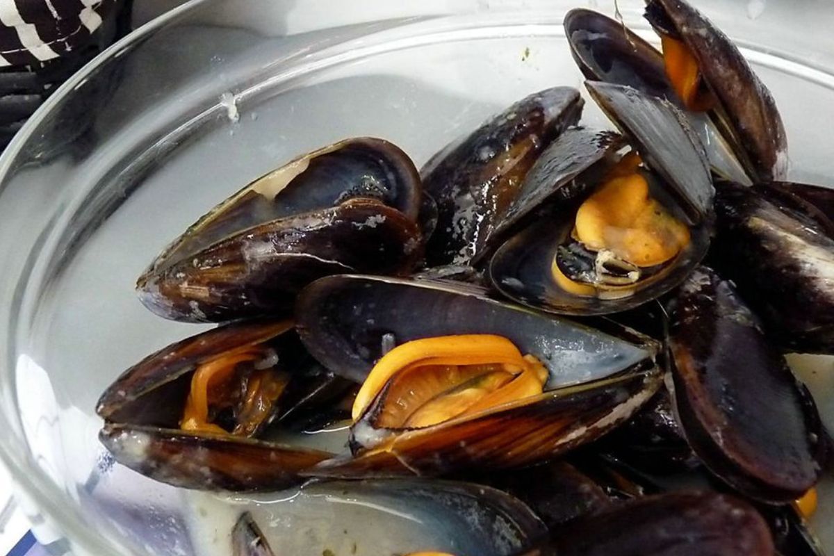 Mejillones al vapor. Foto de Pexels.