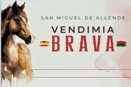 Vendimia Brava