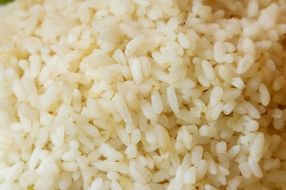 Granos de arroz hidratados. Foto de Pexels.