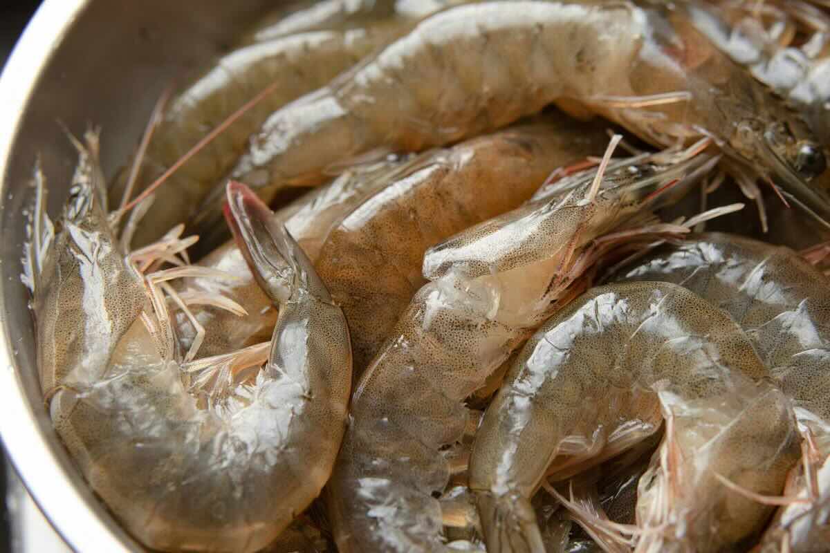 Camarones frescos. Foto de Pexels.