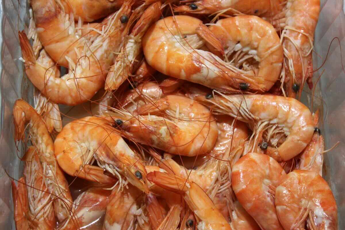 Camarones completos. Foto de Pexels.