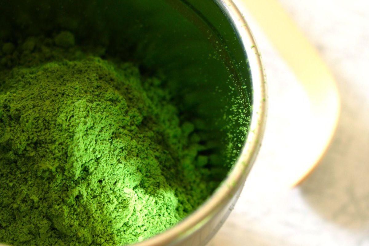 Matcha en polvo. Foto de UnSplash.