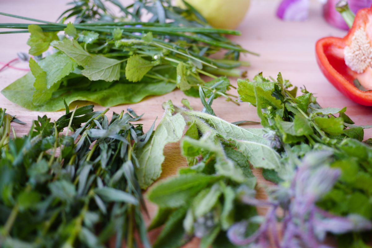 Esta es la mejor forma para conservar hierbas aromáticas por hasta por 6 meses