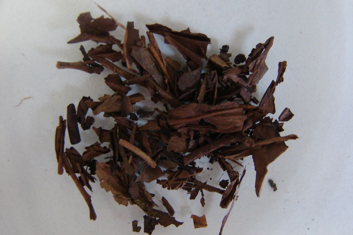 Hojas para preparar té. Foto de Pexels.
