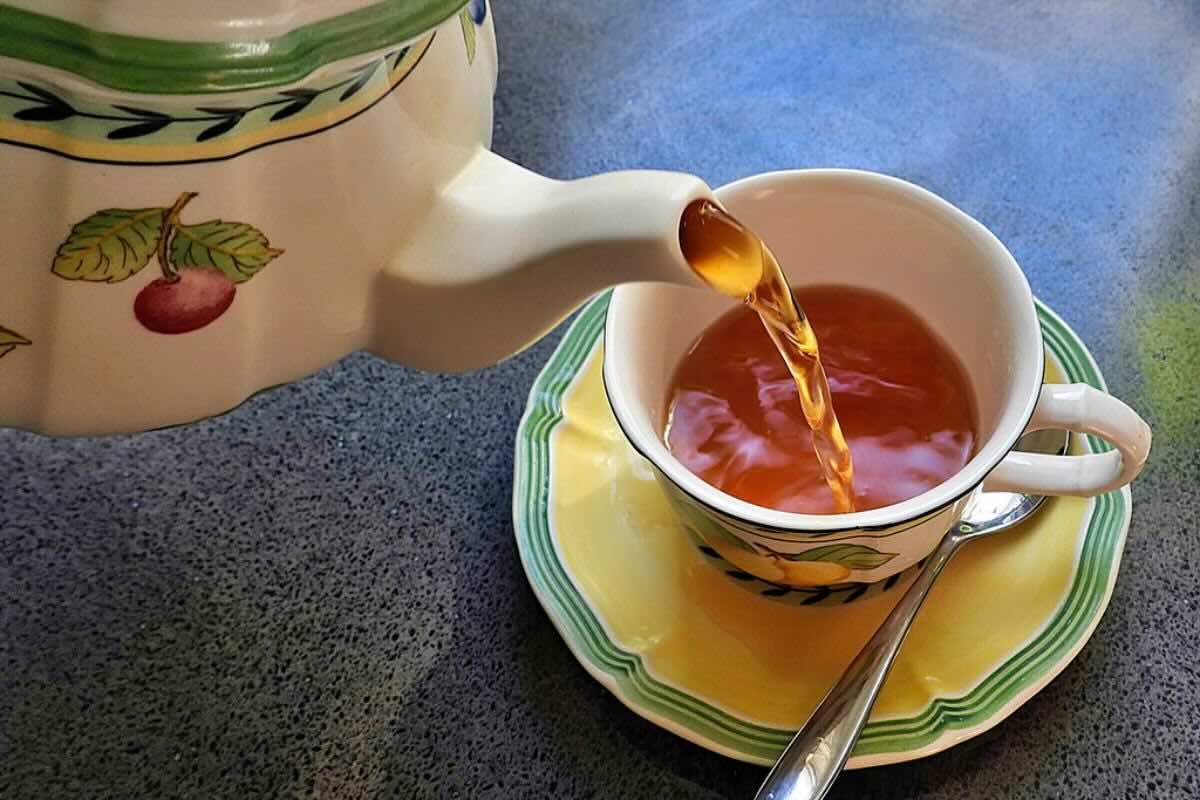 Hojicha: el té verde tostado que querrás en tu rutina este 2025