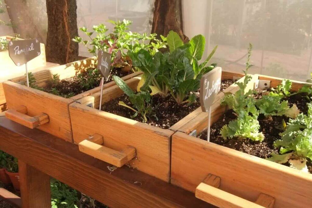 Tener un huerto casero permite tener ingredientes frescos y de calidad.