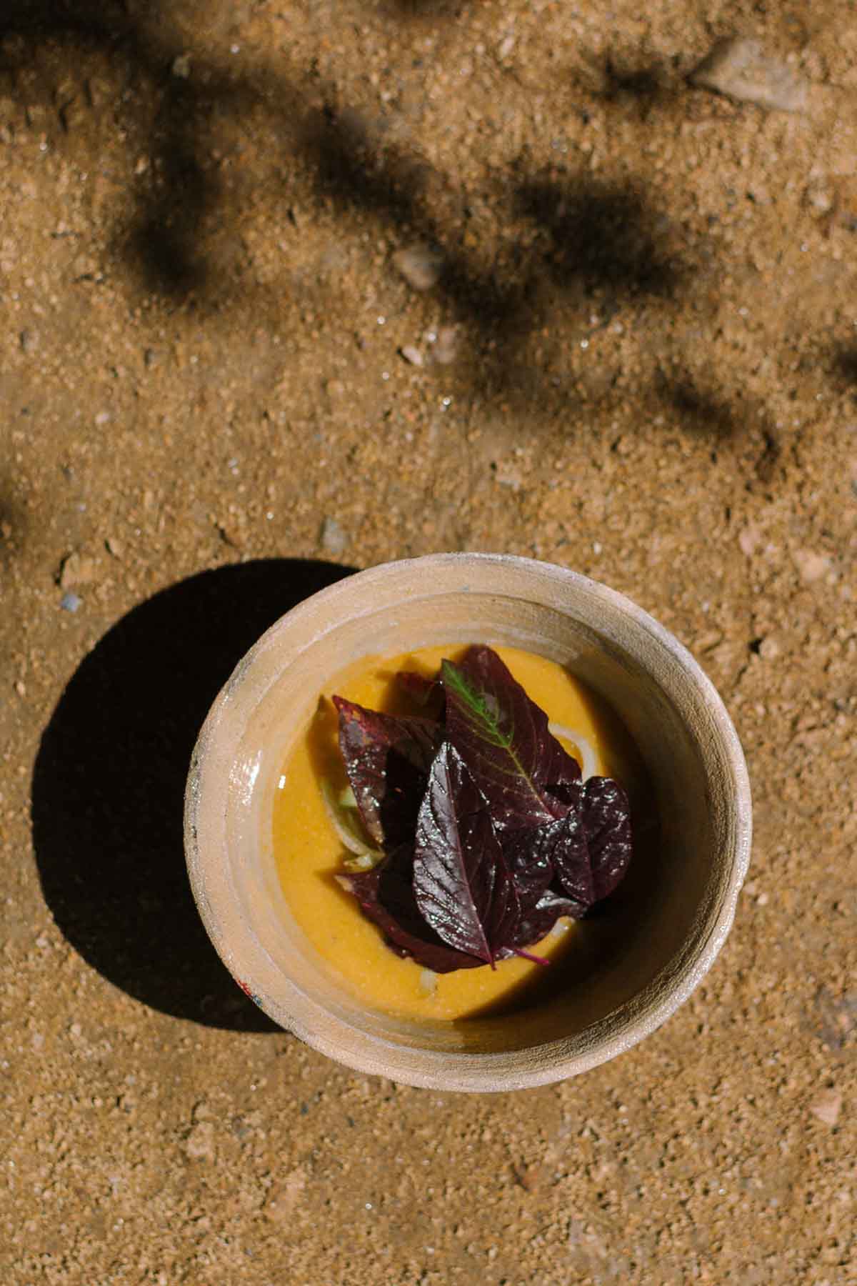 LagoAlgo y Alfonsina del chef Jorge León presentan su primera residencia gastronómica del año en Chapultepec