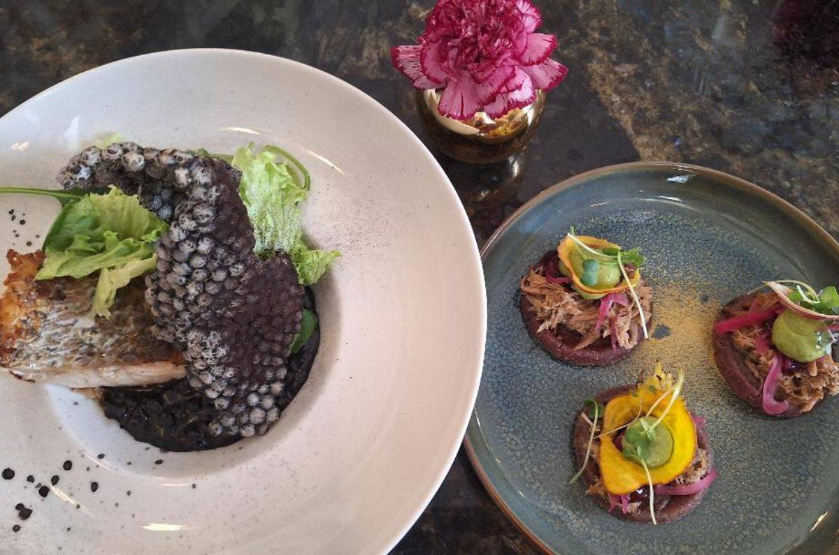 Sopes de pato y Black Turf (robalo sobre trigoto ennegrecido con tinta de sepia), foto de Miriam Carmo