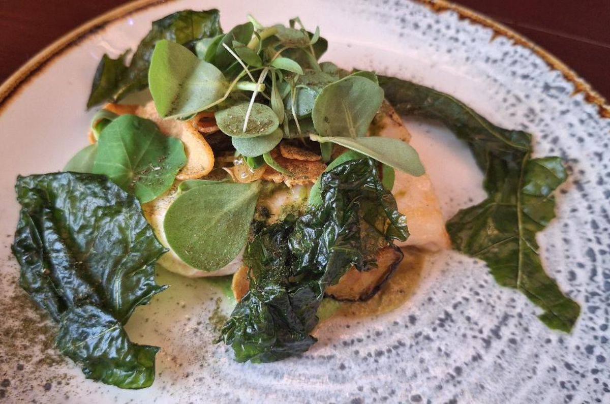 Pesca del día con tahini verde, foto de Miriam Carmo