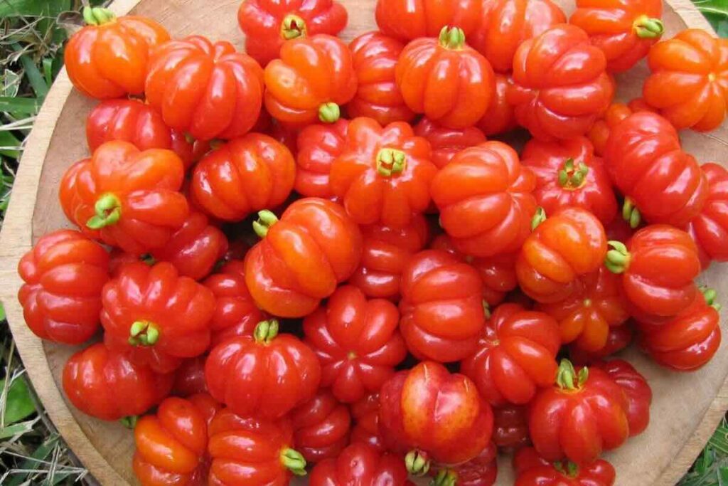 La pitanga es una fruta de verano en Sudamérica.