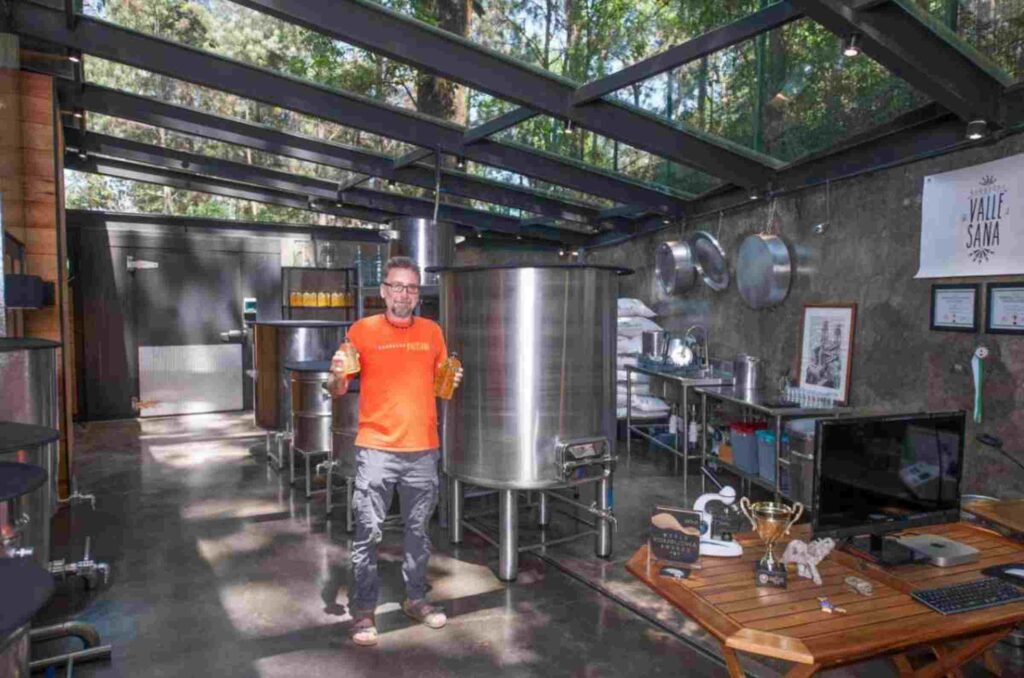 Kombucha Valle Sana
