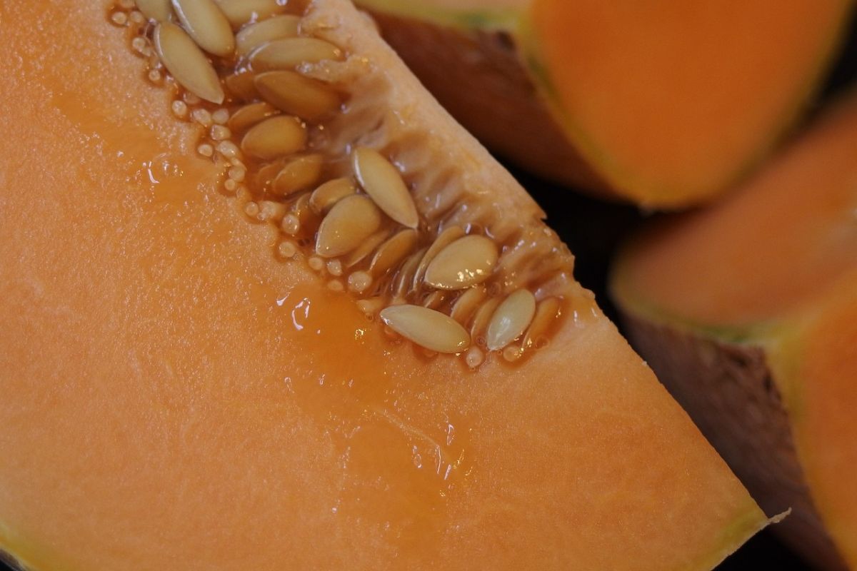 Melón maduro. Foto de Pexels.