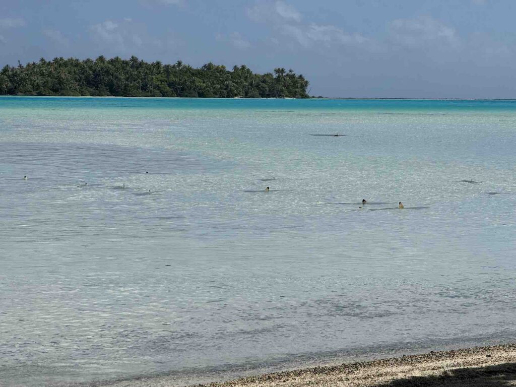 Rangiroa: la calma intacta del Pacífico 3