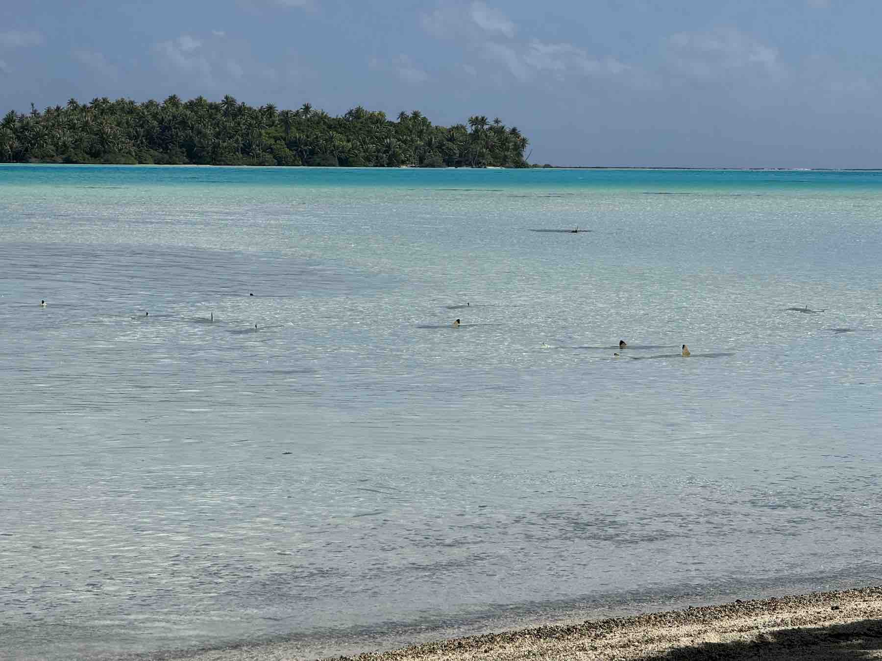 Rangiroa: la calma intacta del Pacífico