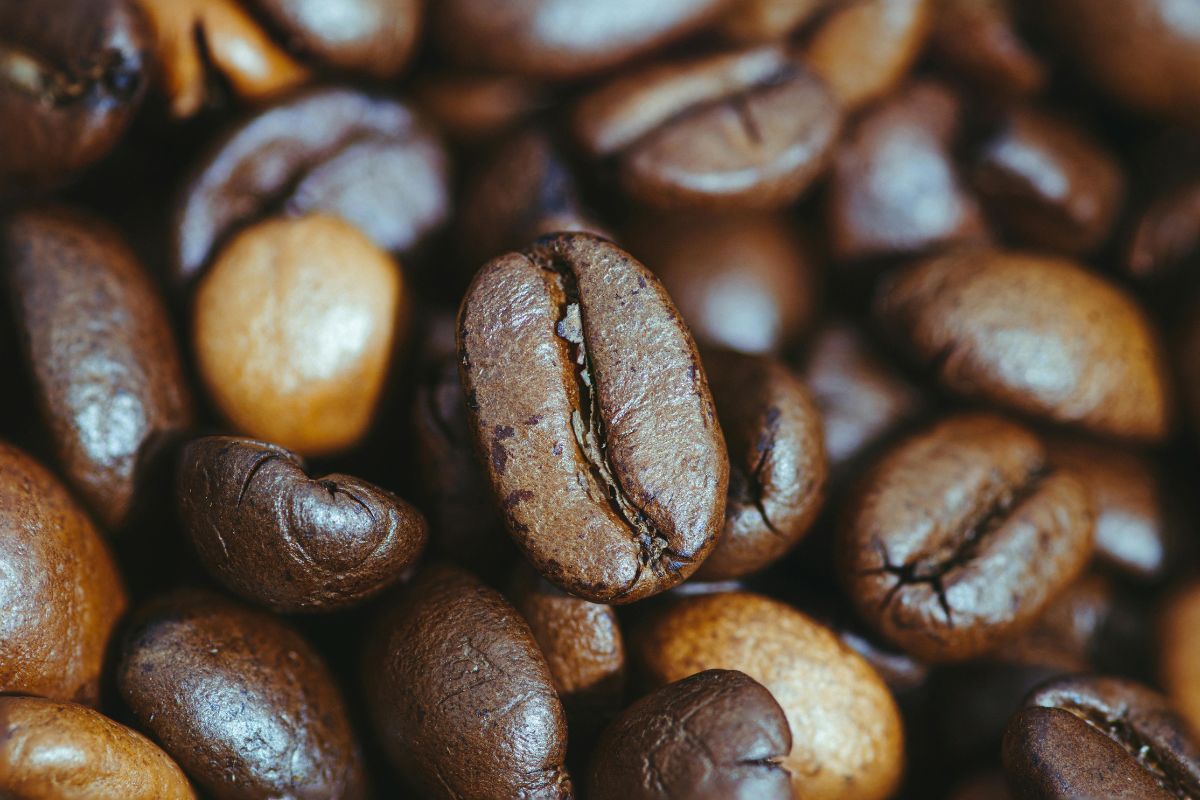 Granos de café tostado oscuro. Foto de Pexels.